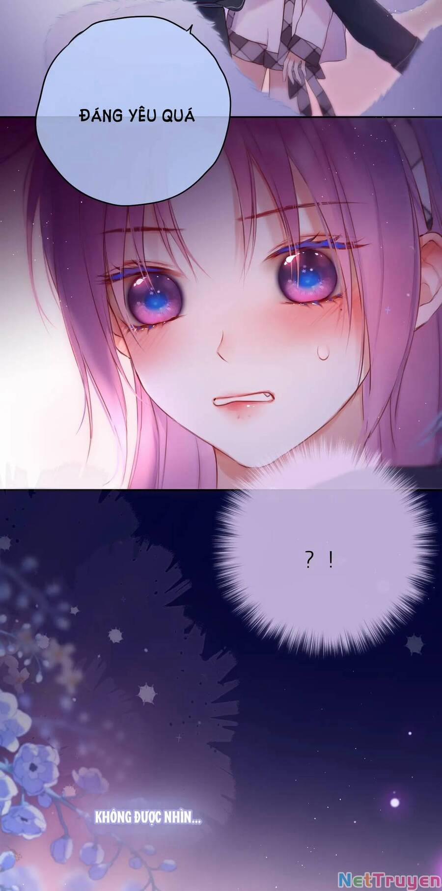 Cạm Bẫy Của Hồ Ly 48 trang 44