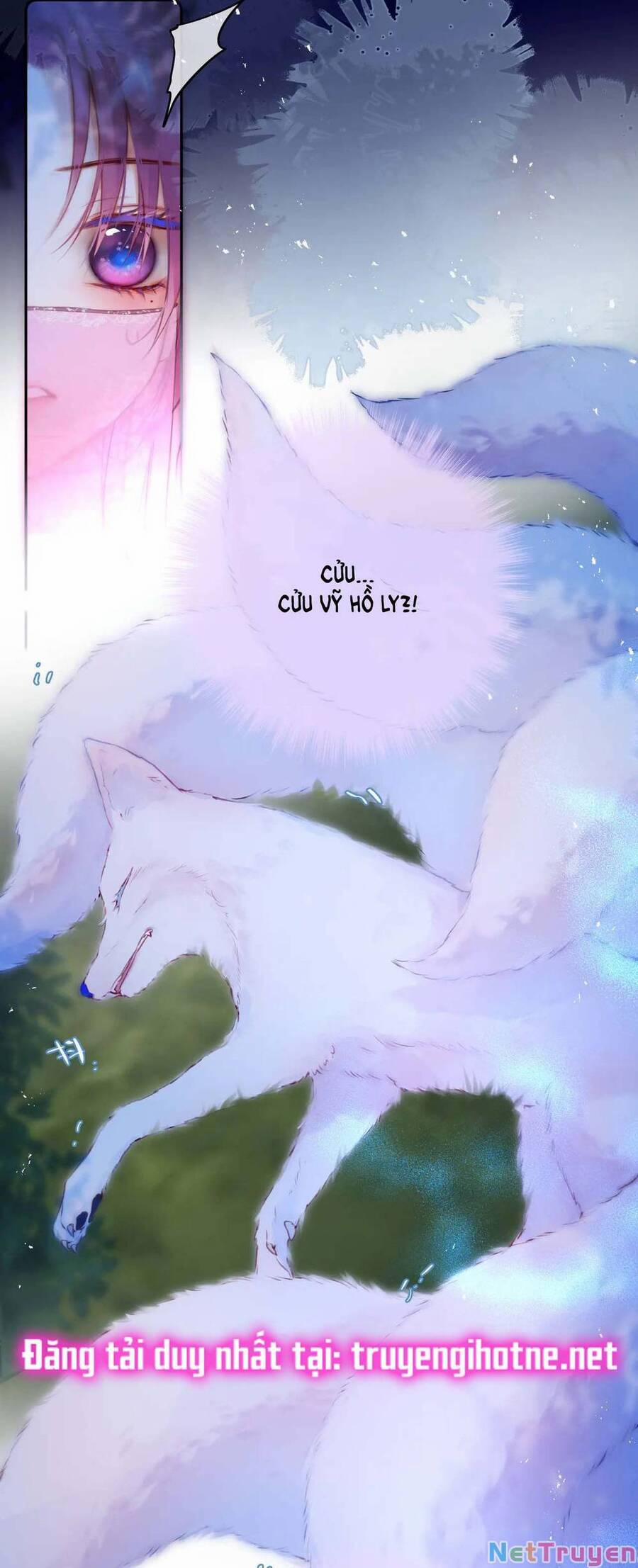 Cạm Bẫy Của Hồ Ly 49 trang 21