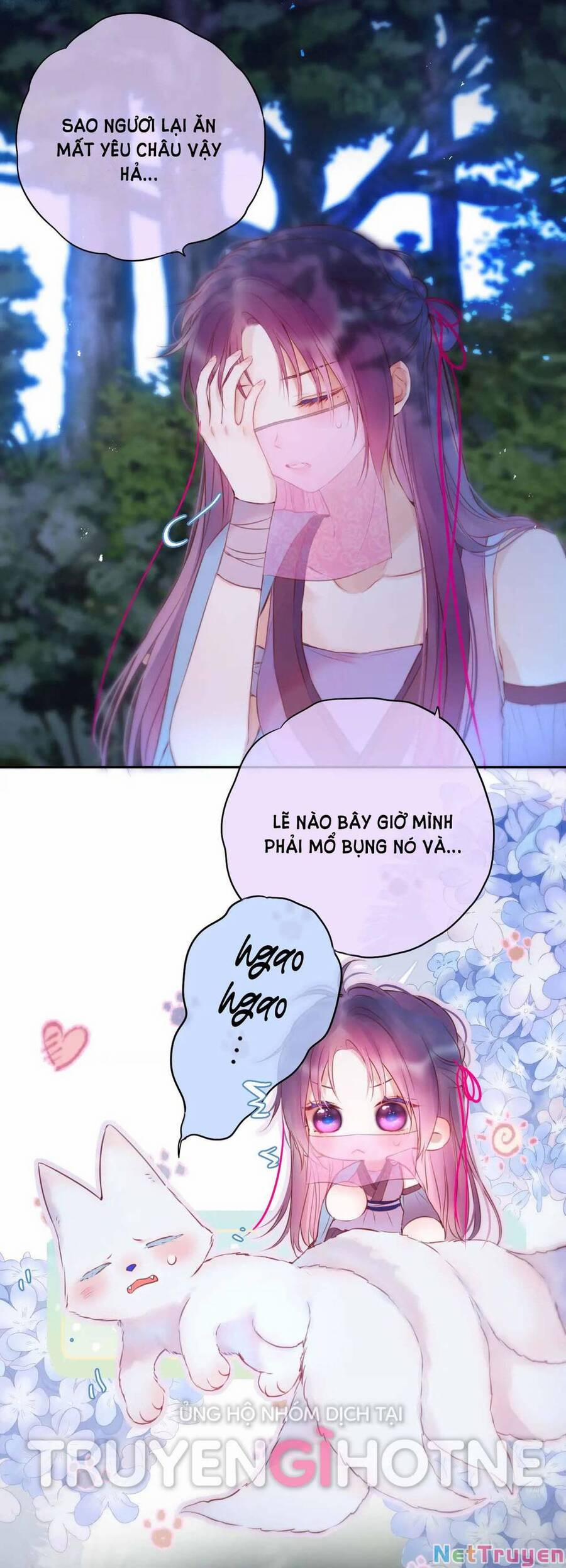 Cạm Bẫy Của Hồ Ly 49 trang 23