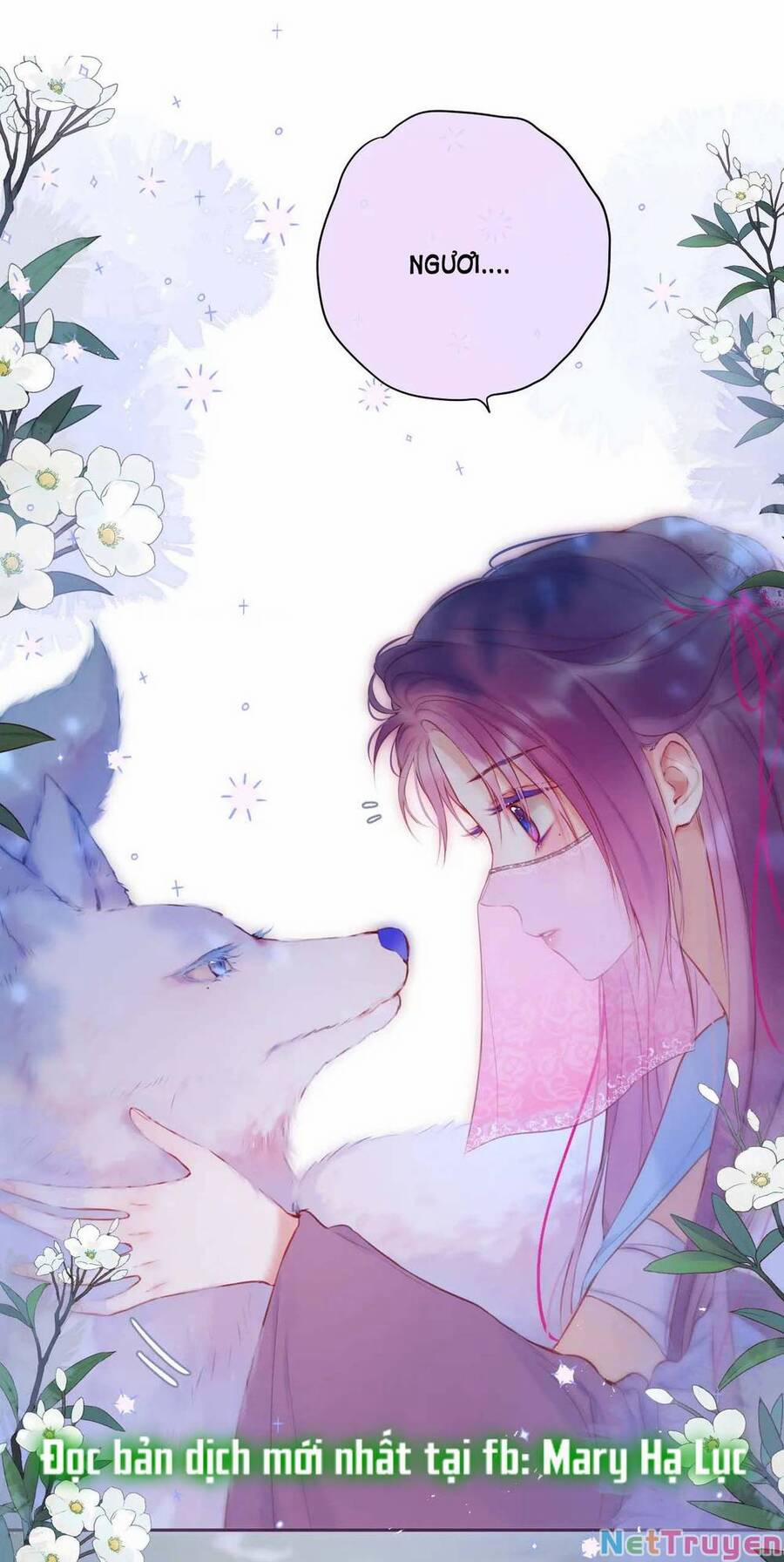 Cạm Bẫy Của Hồ Ly 49 trang 25