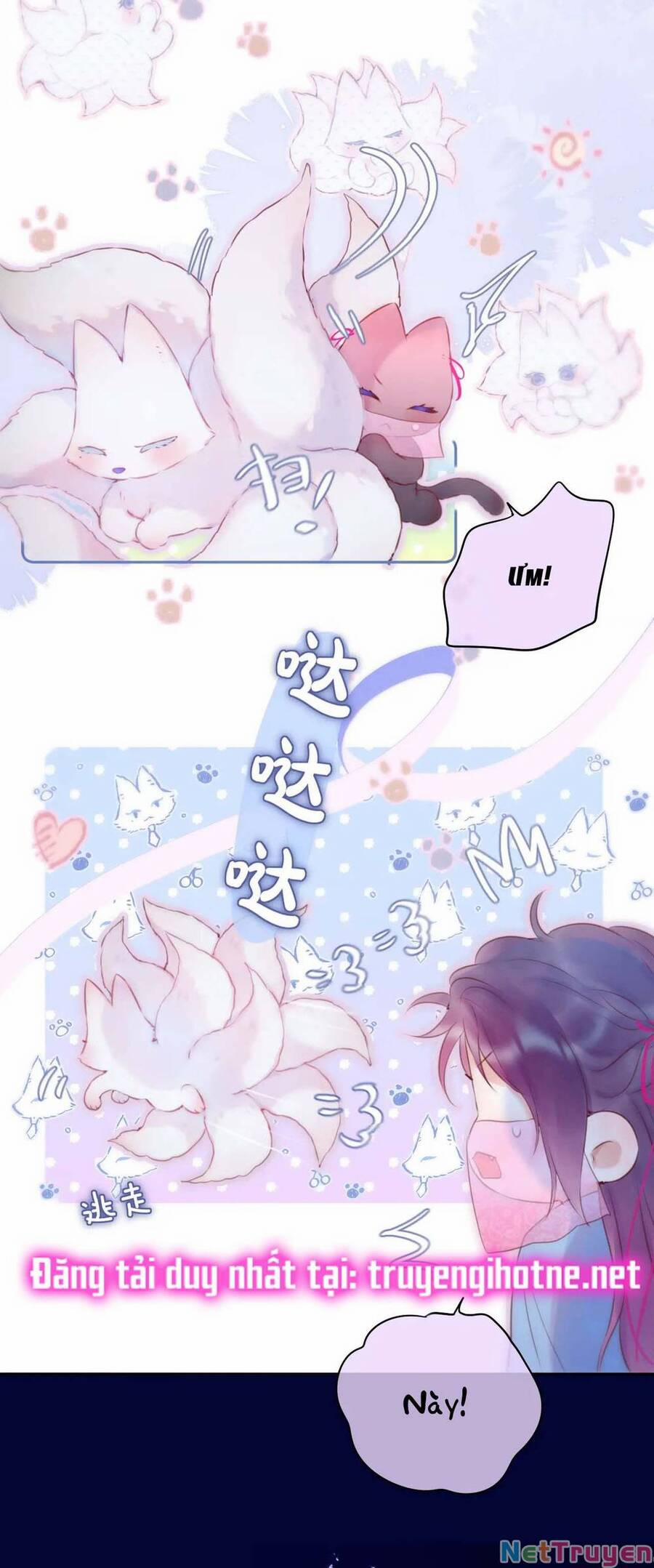 Cạm Bẫy Của Hồ Ly 49 trang 27