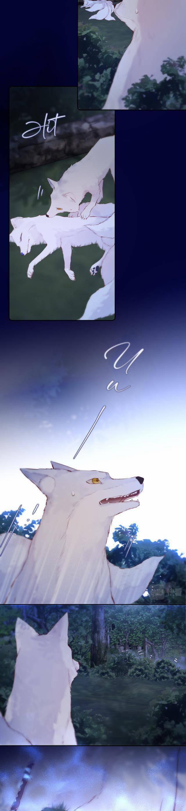 Cạm Bẫy Của Hồ Ly 50 trang 3