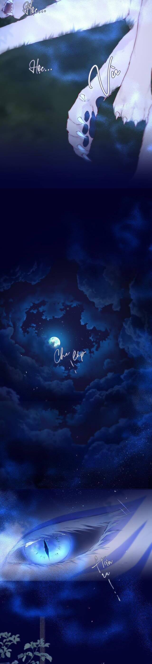 Cạm Bẫy Của Hồ Ly 50 trang 4