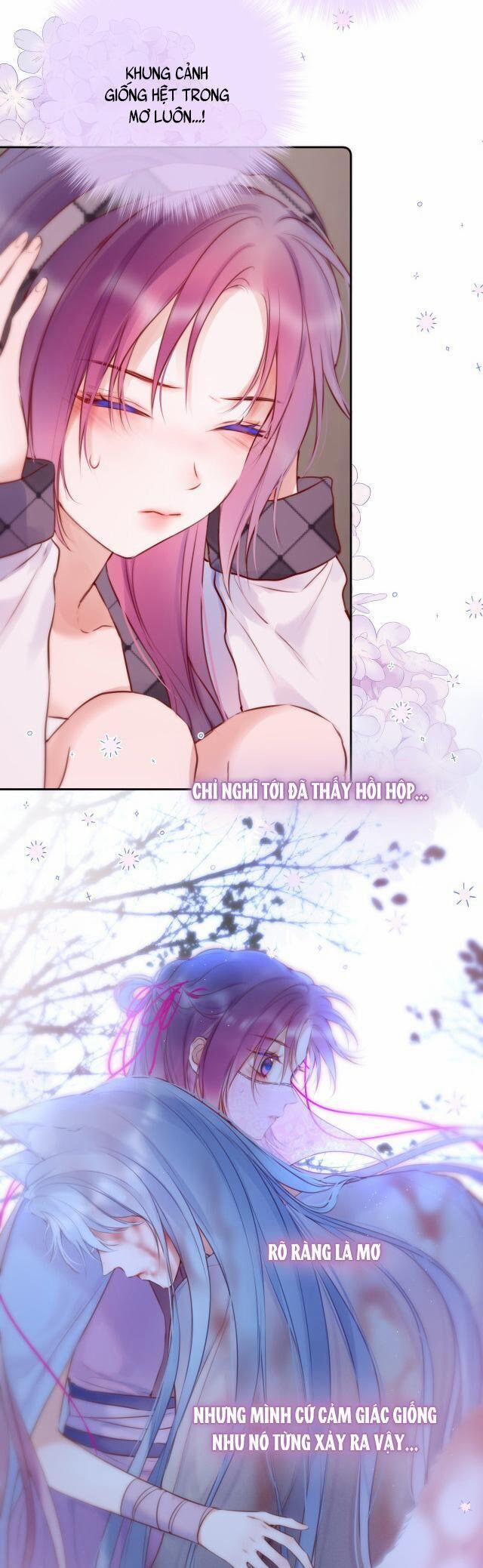 Cạm Bẫy Của Hồ Ly 54 trang 8