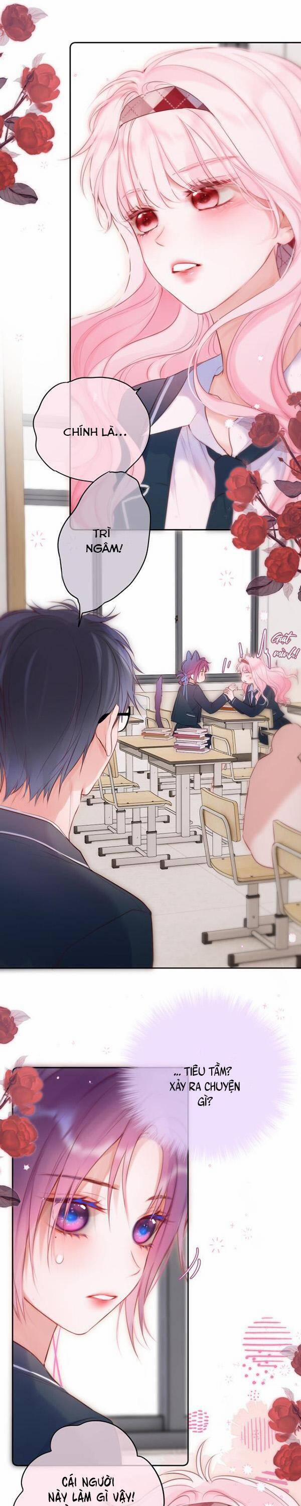 Cạm Bẫy Của Hồ Ly 55 trang 11