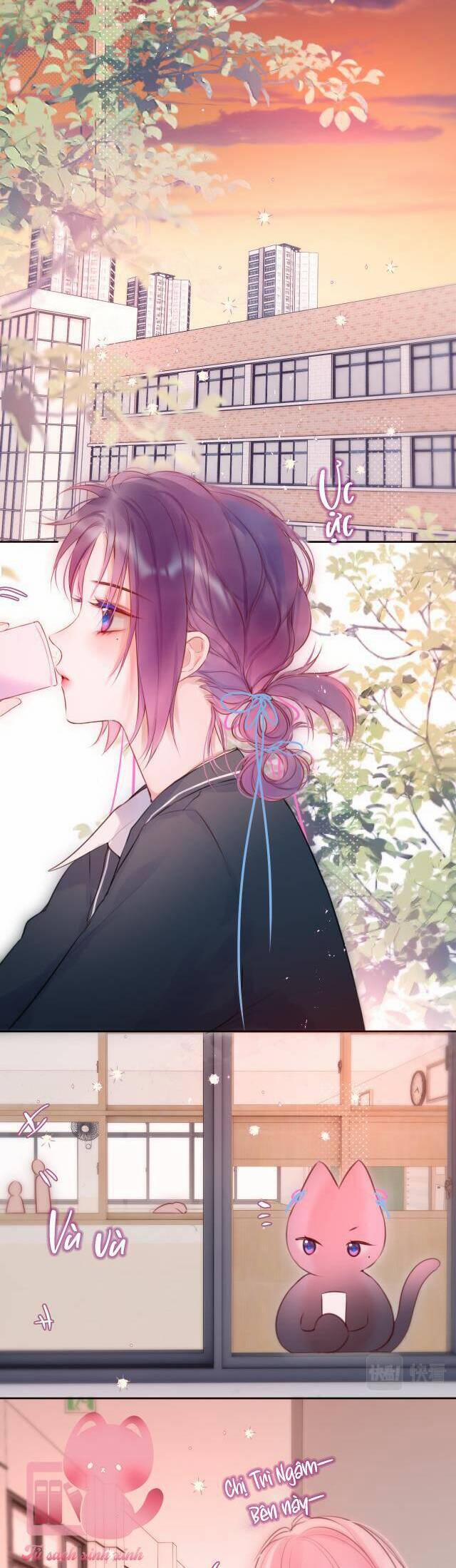 Cạm Bẫy Của Hồ Ly 56 trang 6