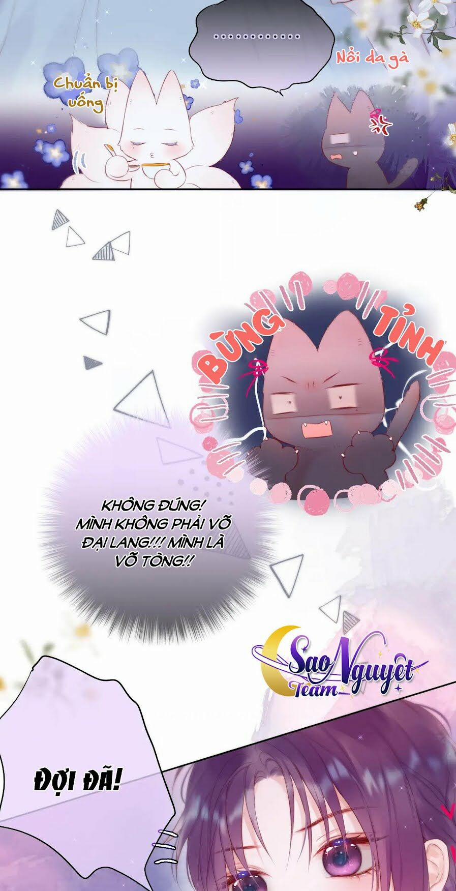 Cạm Bẫy Của Hồ Ly 6 trang 21