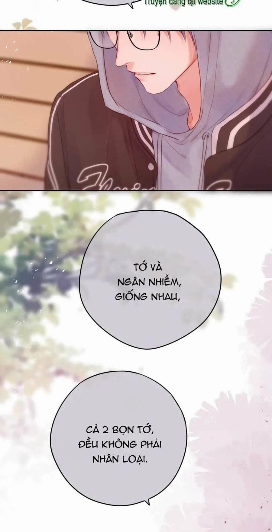 Cạm Bẫy Của Hồ Ly 61 trang 29