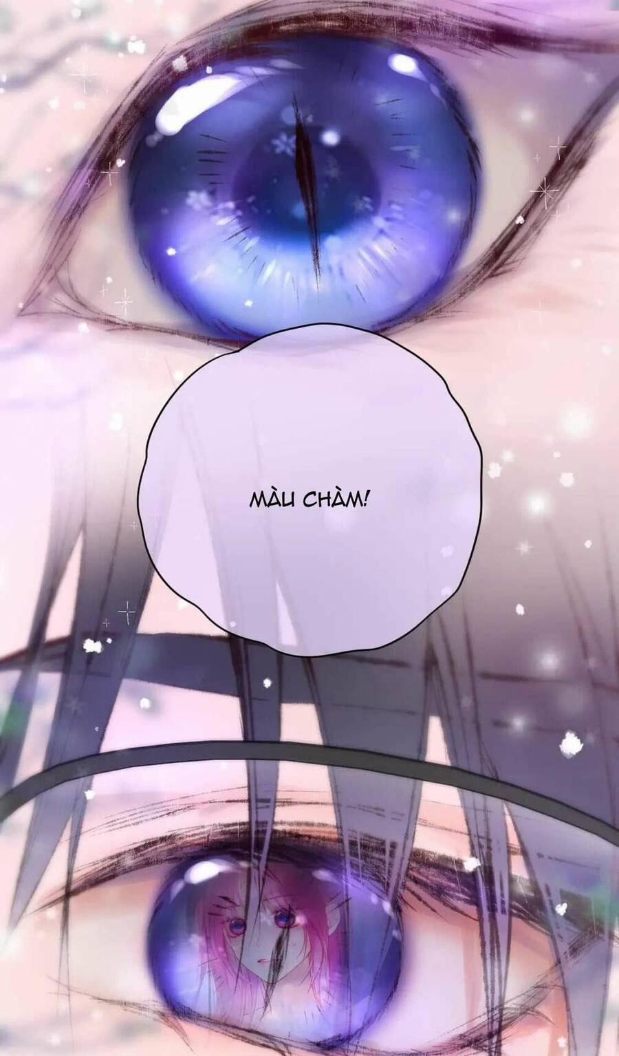 Cạm Bẫy Của Hồ Ly 62 trang 30