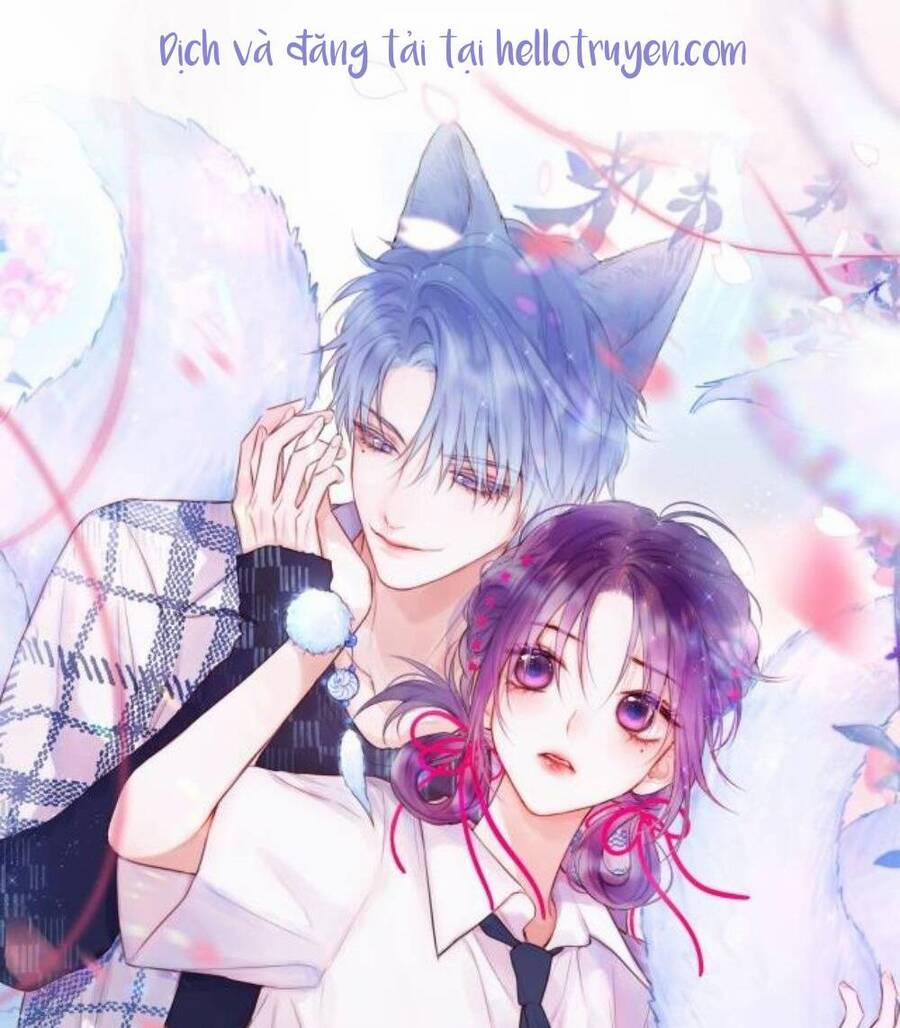 Cạm Bẫy Của Hồ Ly 63 trang 0