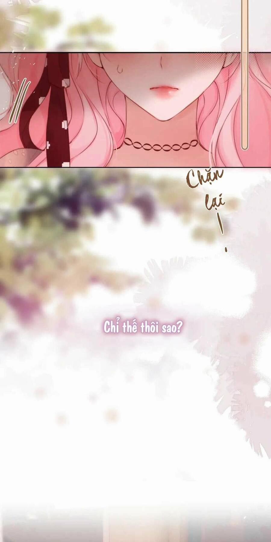 Cạm Bẫy Của Hồ Ly 63 trang 11