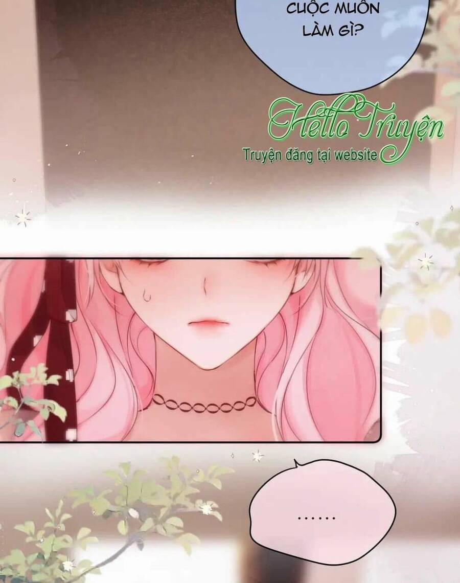 Cạm Bẫy Của Hồ Ly 63 trang 13