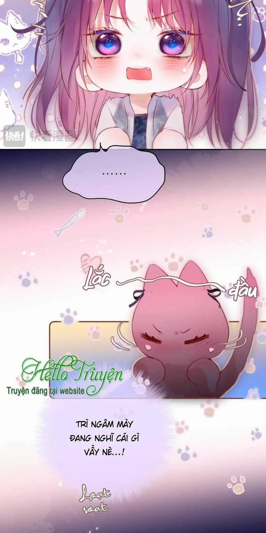 Cạm Bẫy Của Hồ Ly 65 trang 16