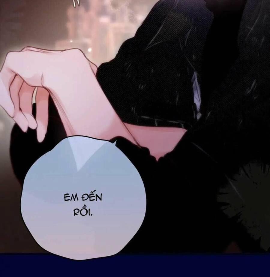 Cạm Bẫy Của Hồ Ly 65 trang 22