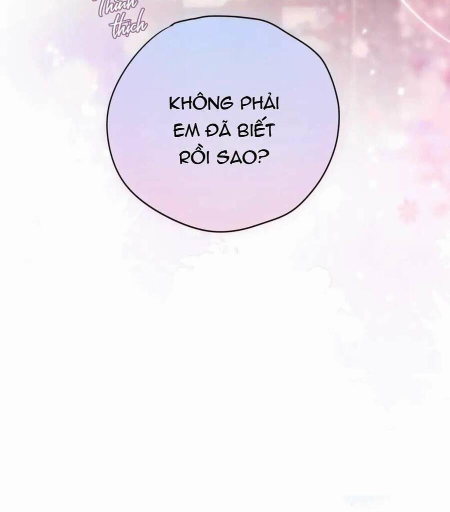 Cạm Bẫy Của Hồ Ly 65 trang 44