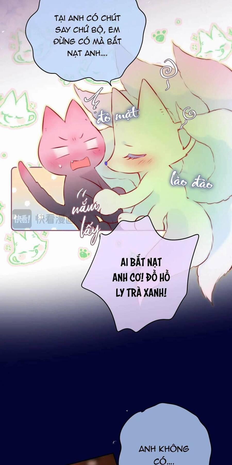 Cạm Bẫy Của Hồ Ly 66 trang 11