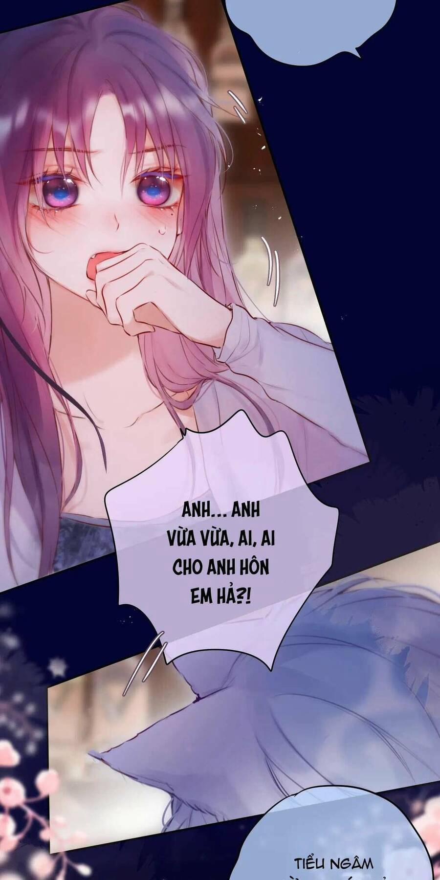 Cạm Bẫy Của Hồ Ly 66 trang 12