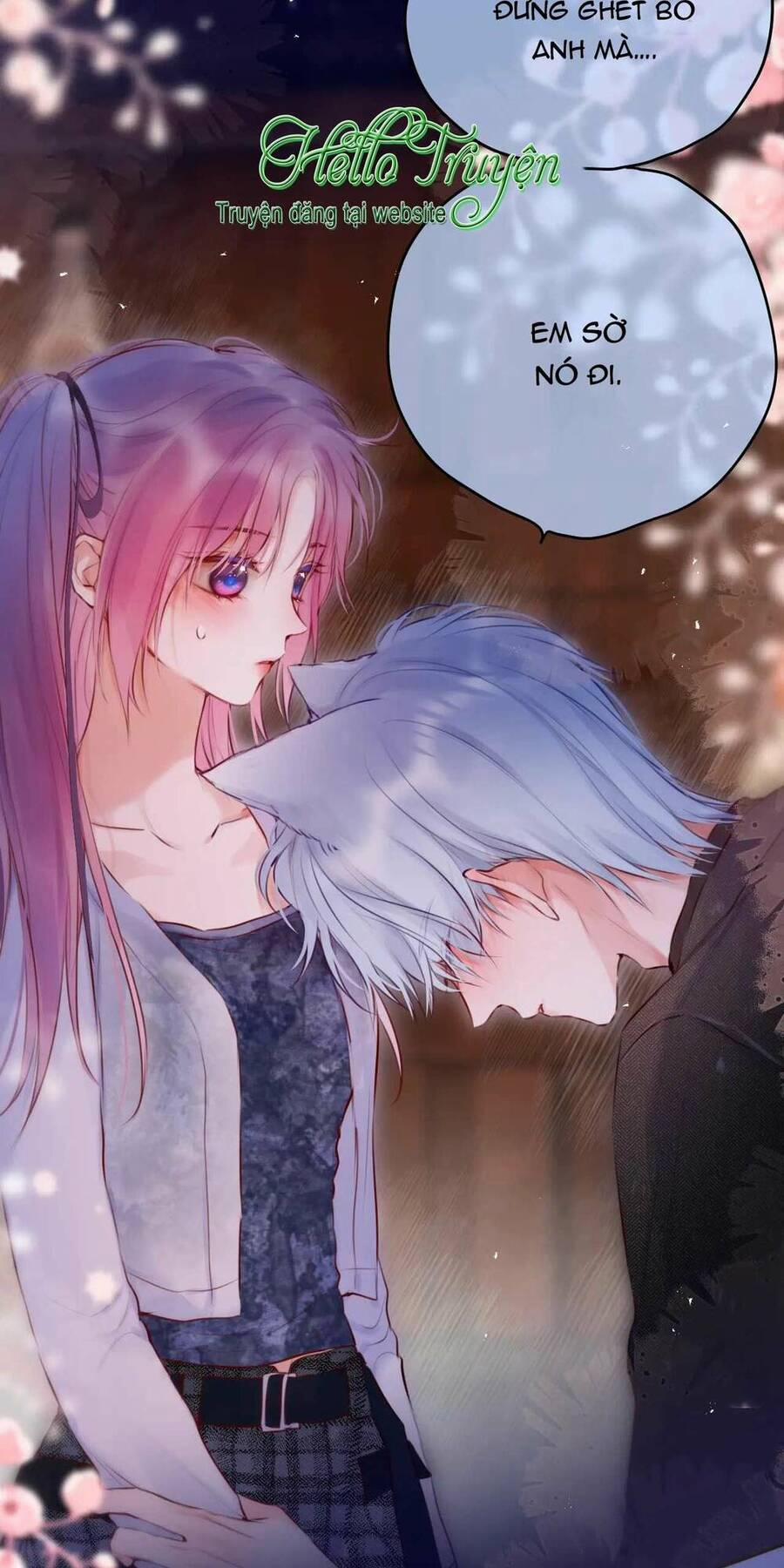 Cạm Bẫy Của Hồ Ly 66 trang 13