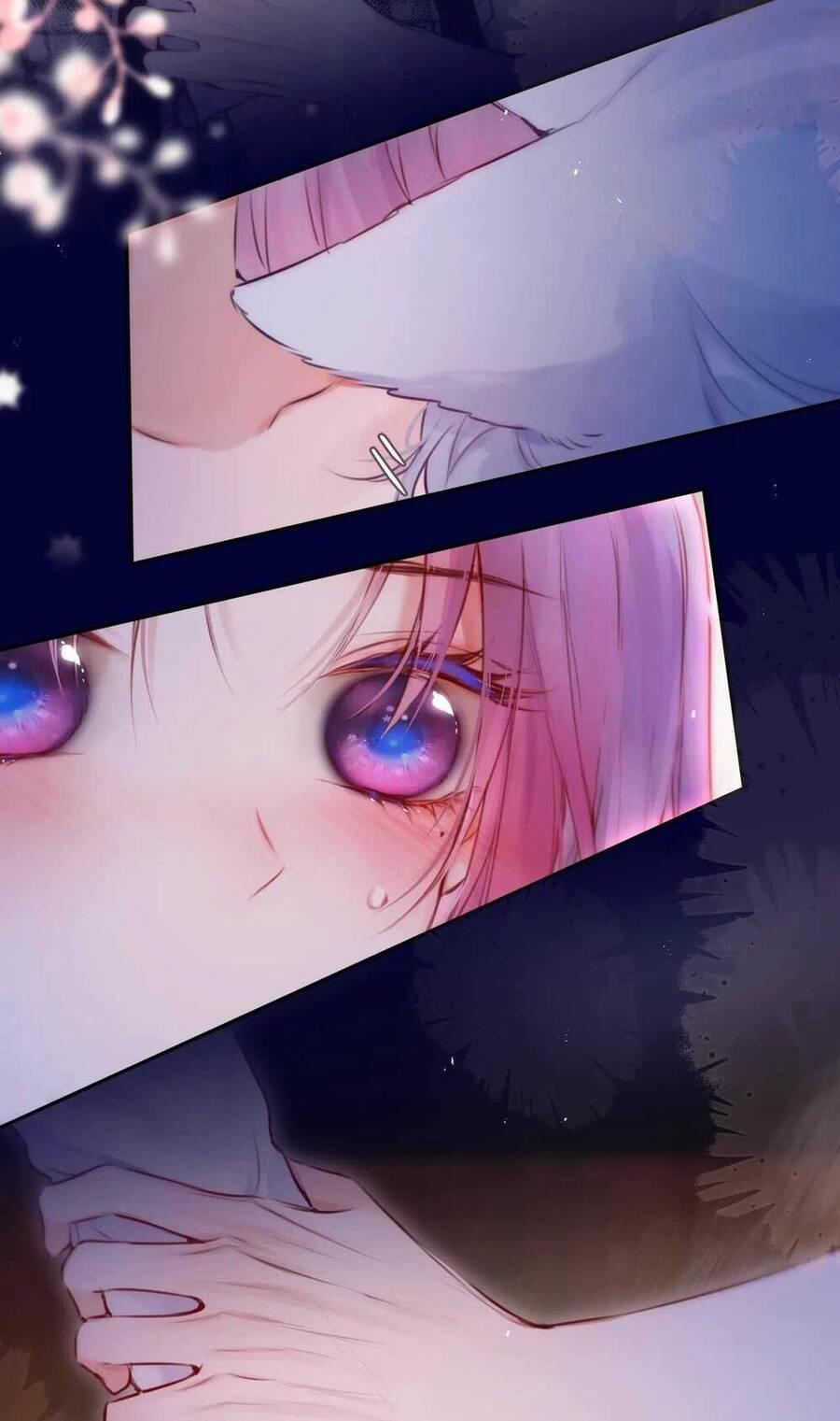 Cạm Bẫy Của Hồ Ly 66 trang 14