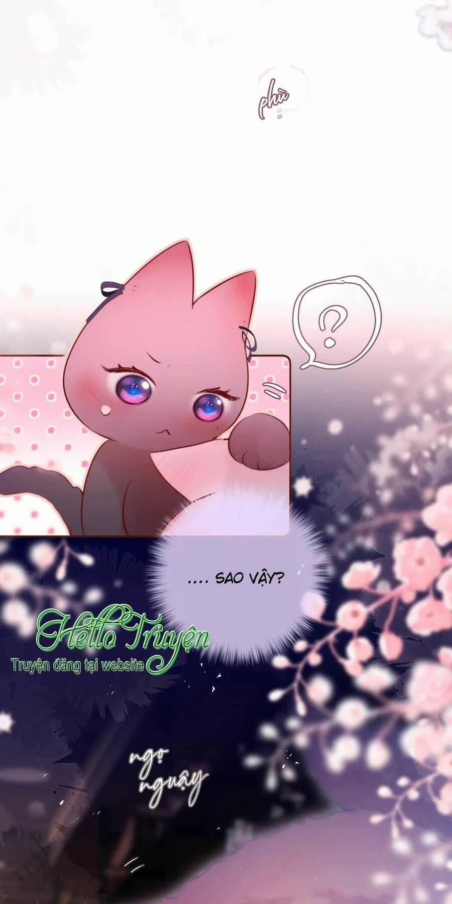 Cạm Bẫy Của Hồ Ly 66 trang 29