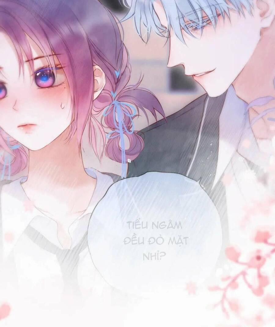 Cạm Bẫy Của Hồ Ly 66 trang 7