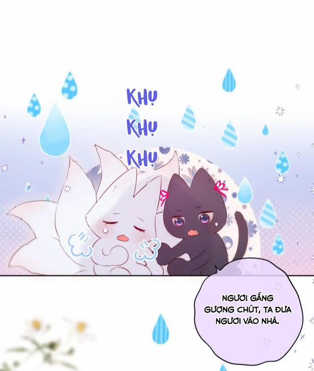 Cạm Bẫy Của Hồ Ly 8 trang 26