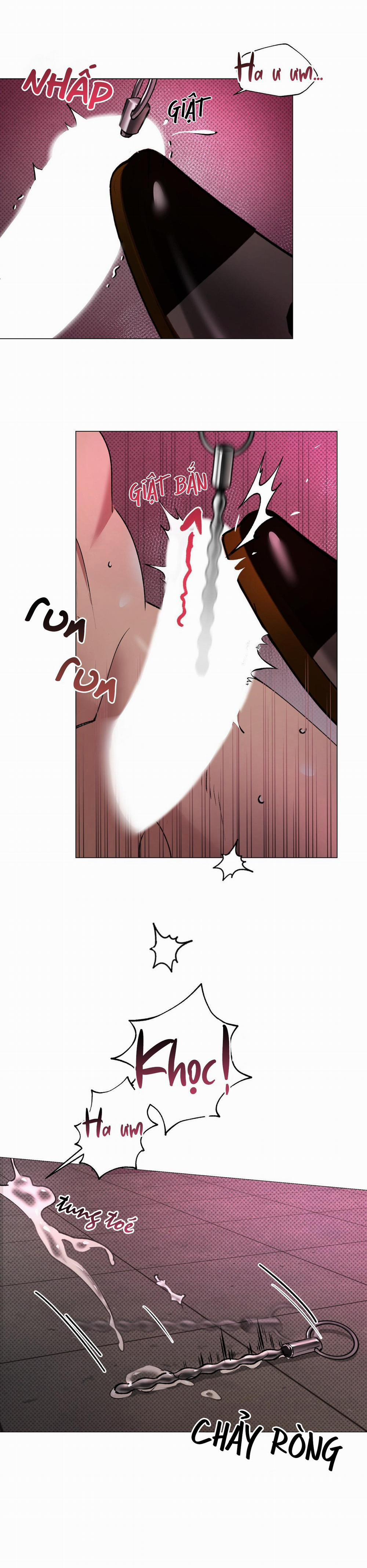 CẠM BẪY CỦA SỰ TÁI NGỘ (END) 1 trang 11