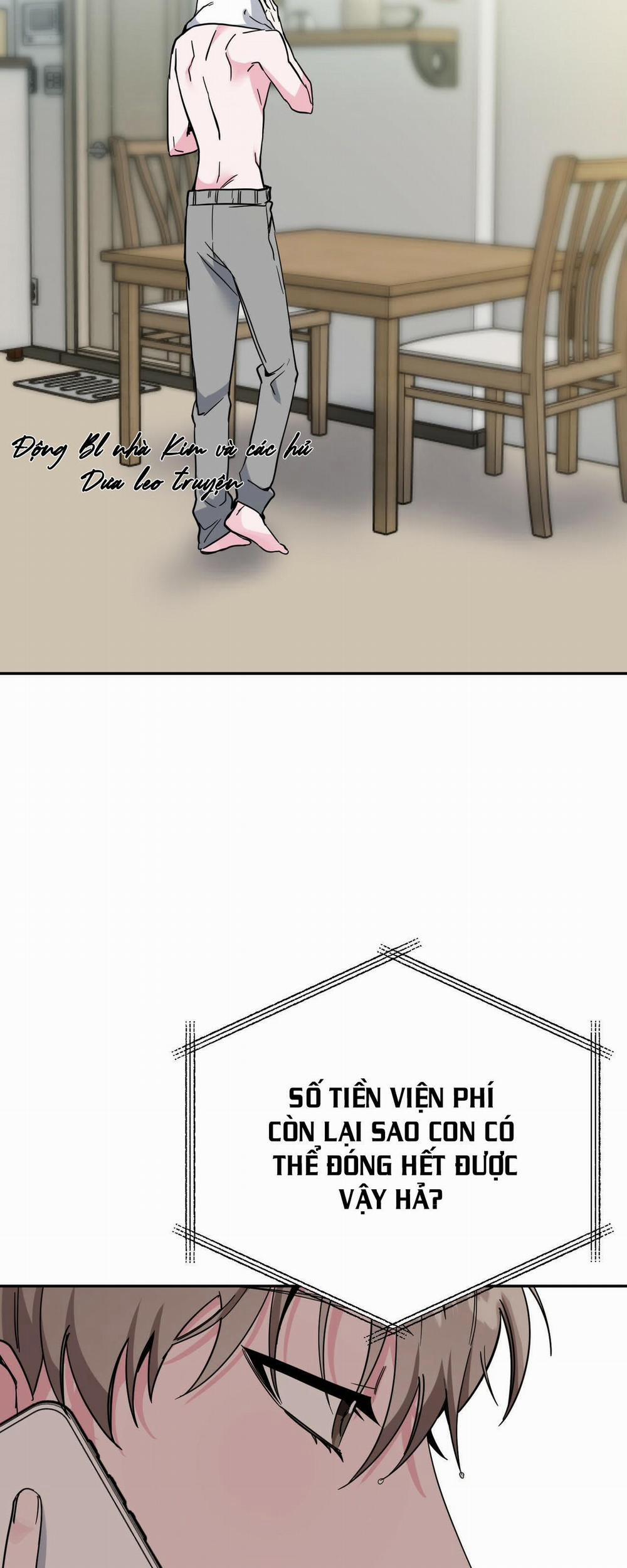 Cạm Bẫy Đại Học 12 trang 1