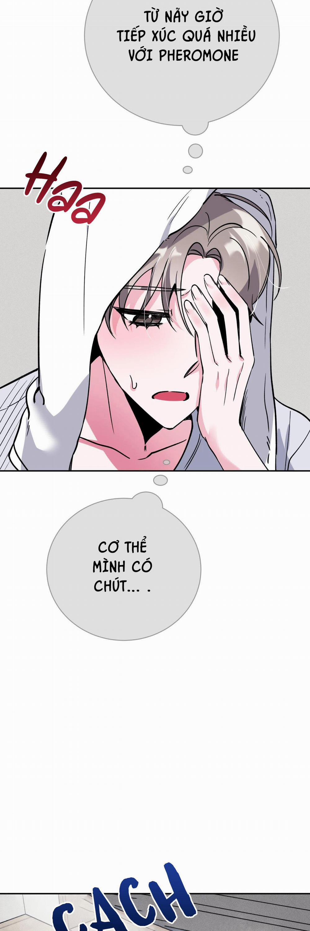 Cạm Bẫy Đại Học 35 trang 39