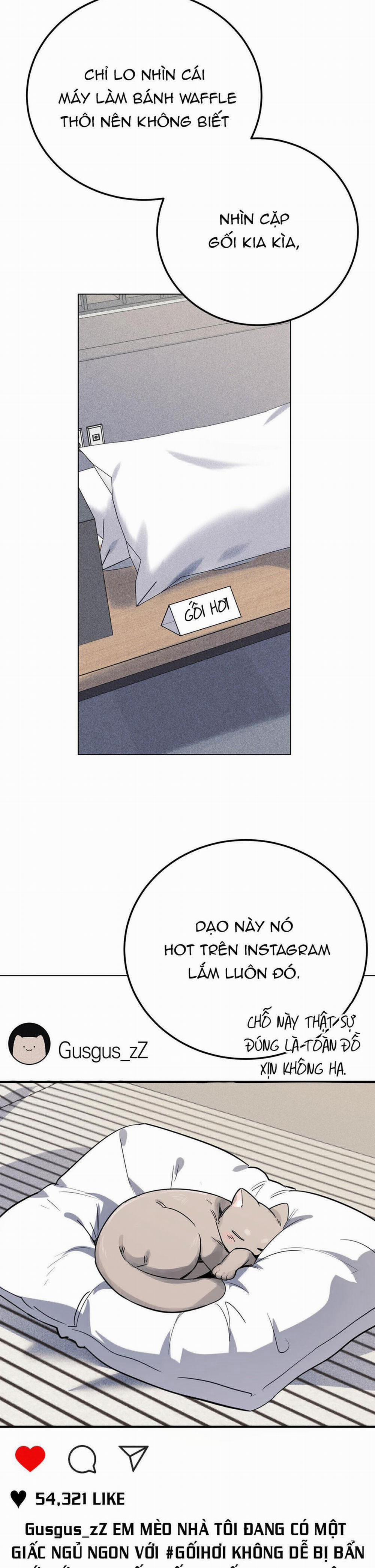 Cạm Bẫy Đại Học 47 trang 3