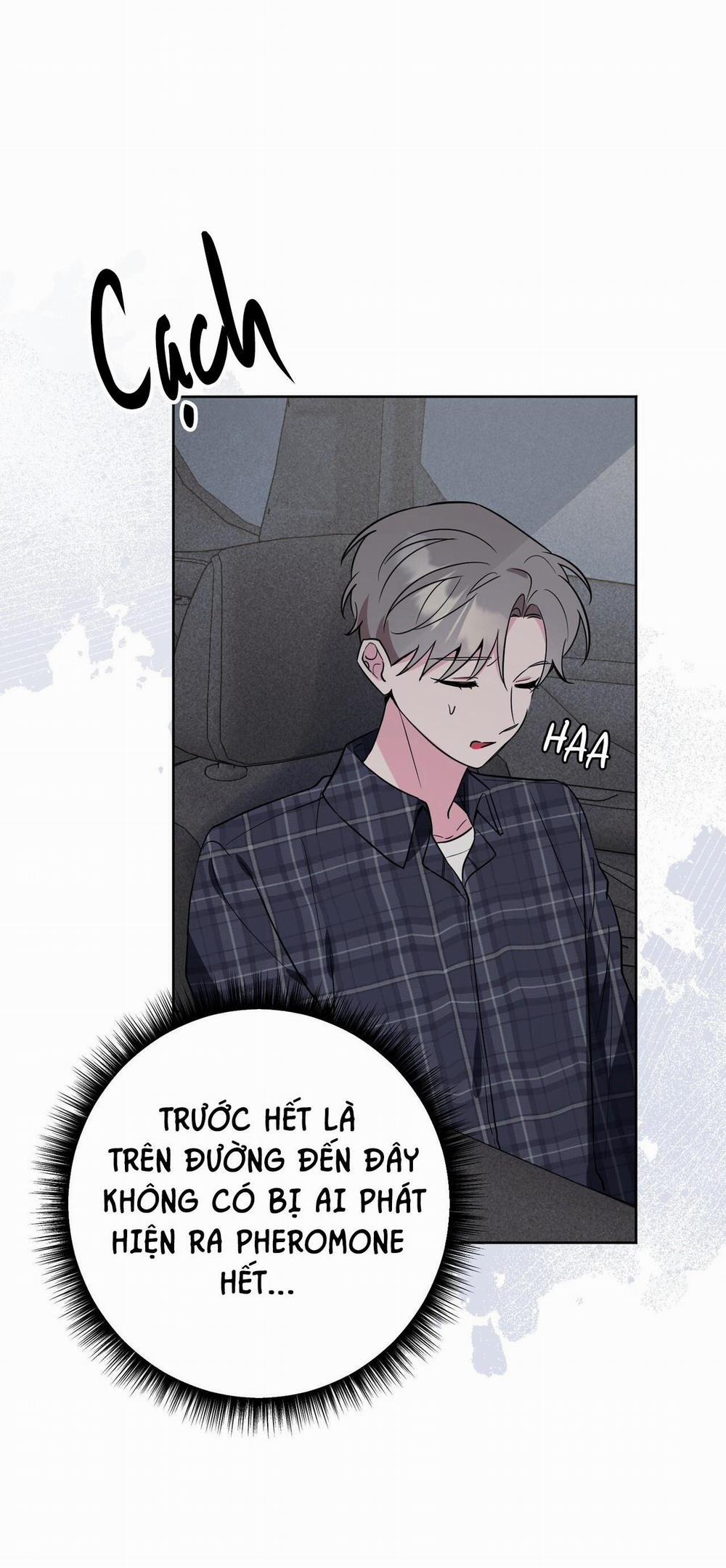 Cạm Bẫy Đại Học 55 trang 3