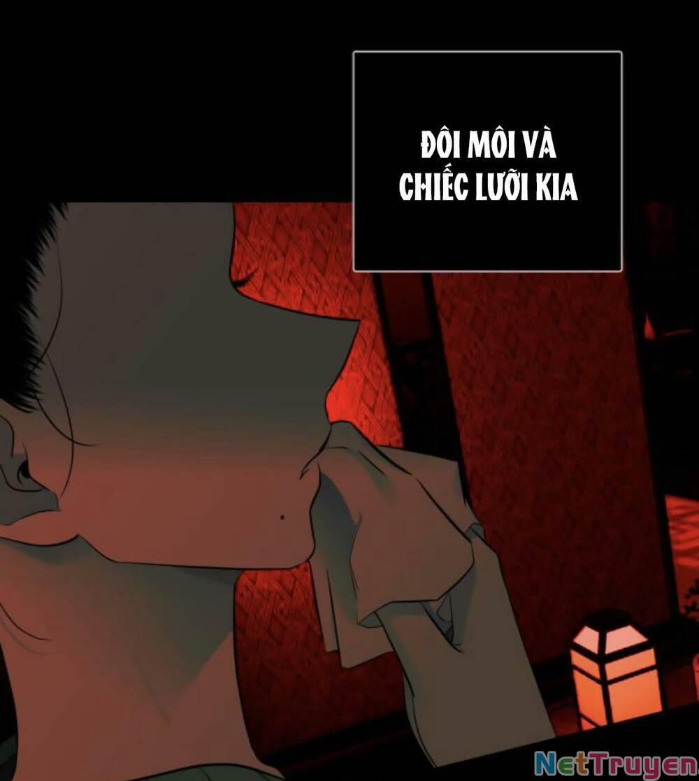 Cạm Bẫy 119 trang 84