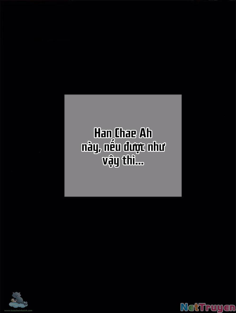 Cạm Bẫy 126 trang 44