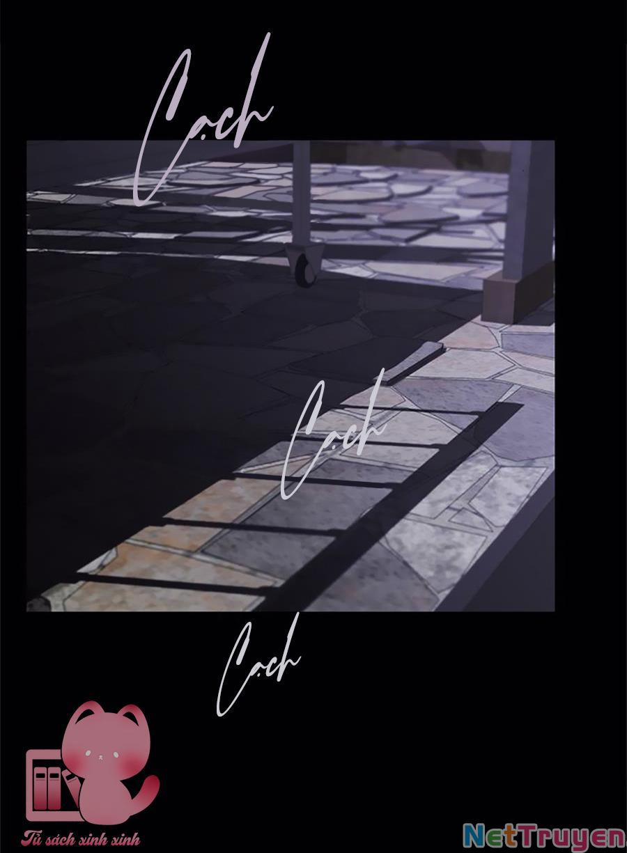 Cạm Bẫy 135 trang 44