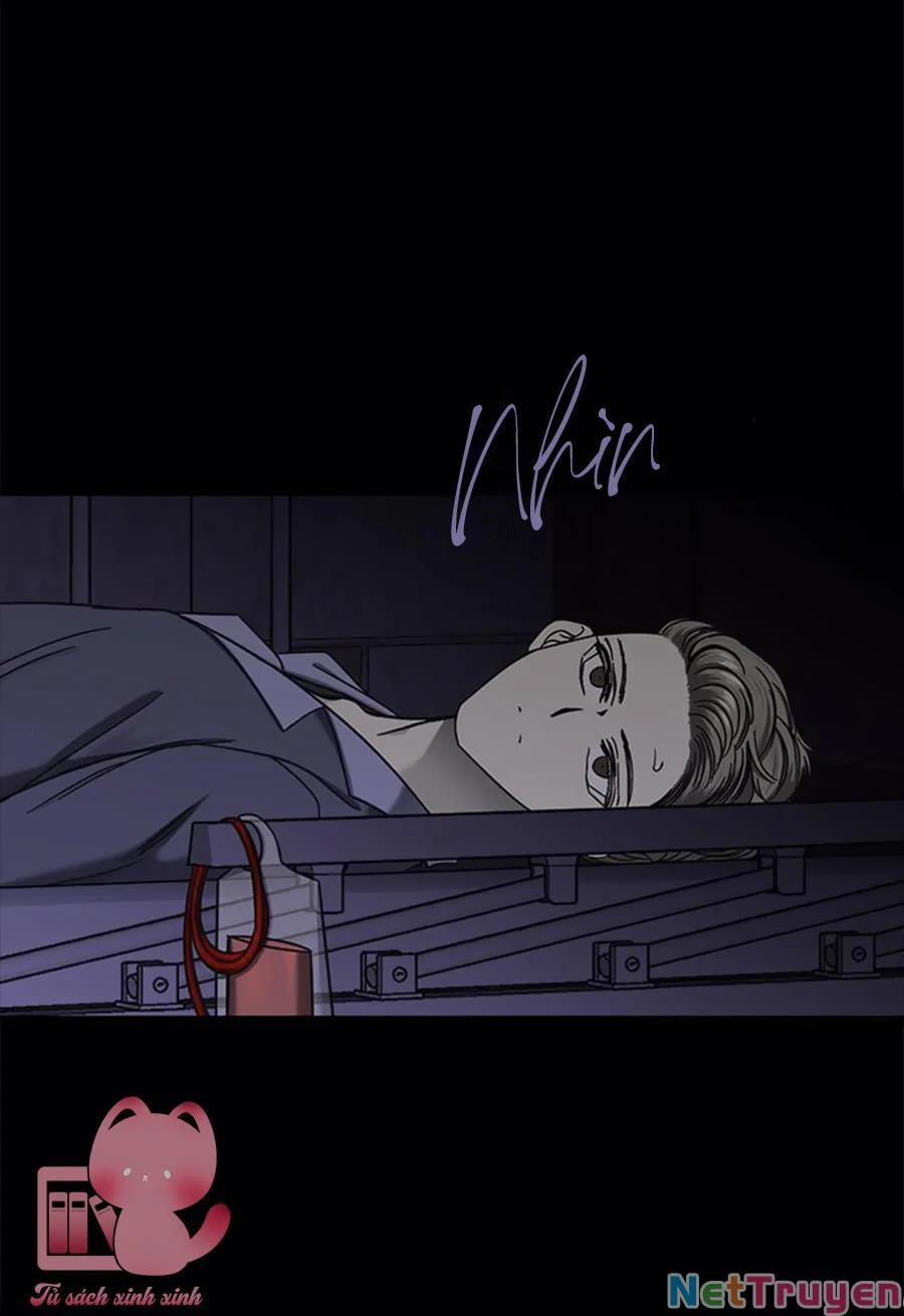 Cạm Bẫy 135 trang 52