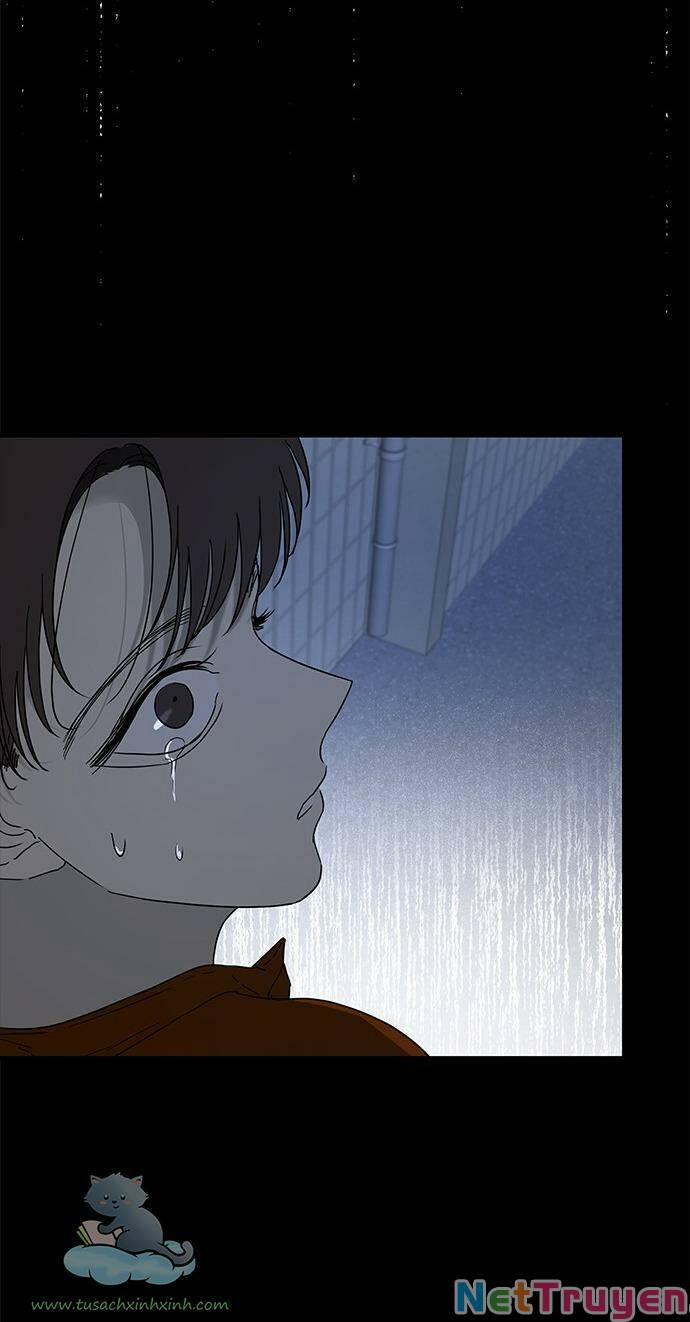 Cạm Bẫy 55 trang 19