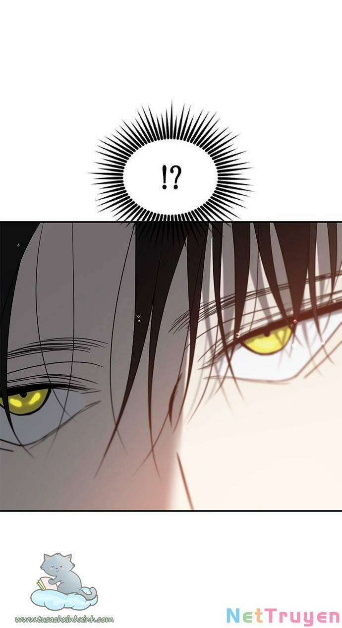 Cạm Bẫy 72 trang 2