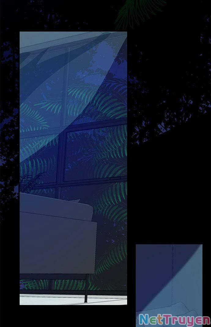 Cạm Bẫy 74 trang 81