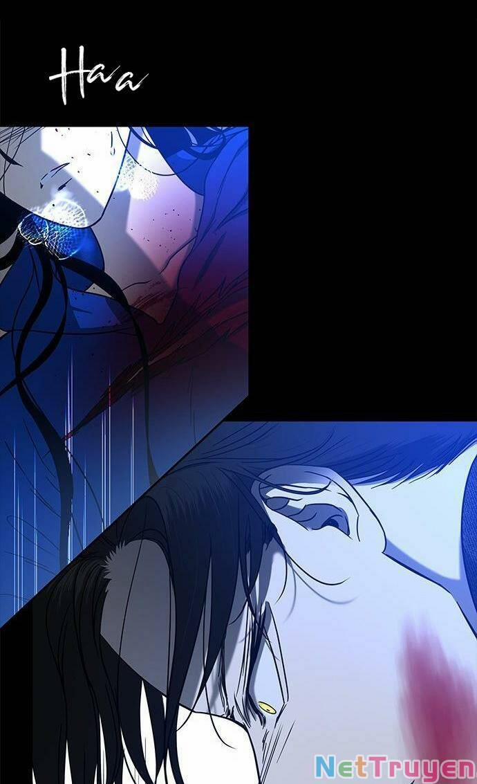 Cạm Bẫy 91 trang 14