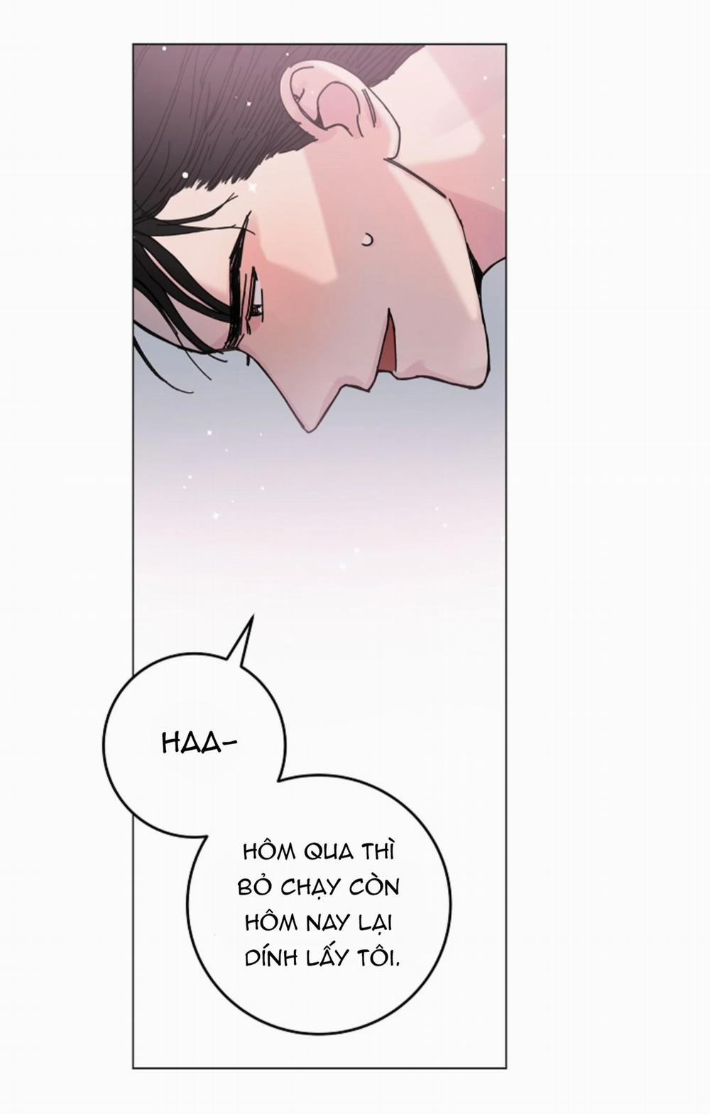 Cảm Nhận Từ Những Gì Tôi Biết 10.3 trang 17