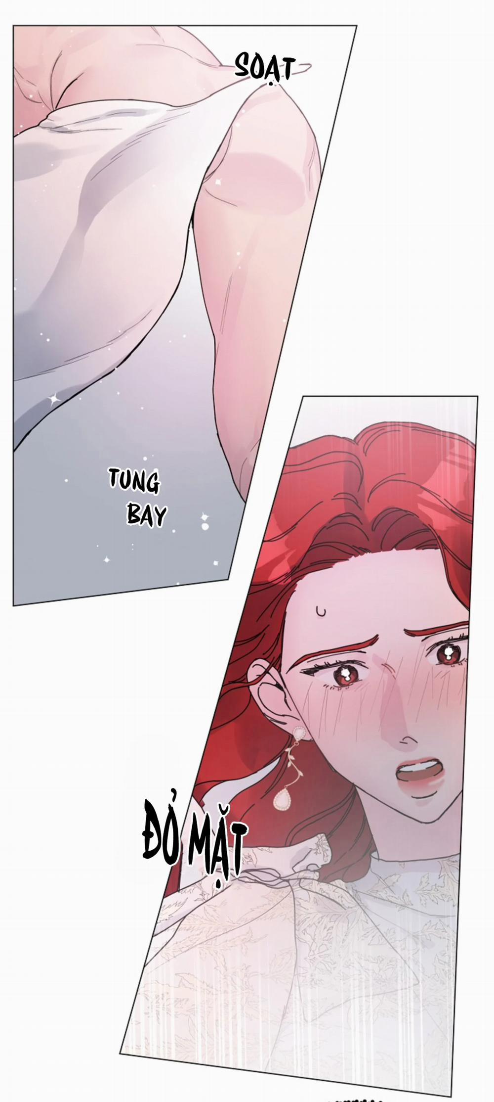 Cảm Nhận Từ Những Gì Tôi Biết 10.3 trang 19