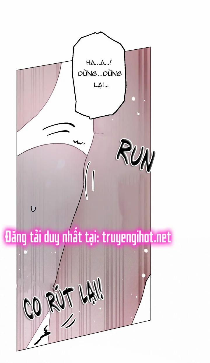 Cảm Nhận Từ Những Gì Tôi Biết 11.3 trang 13