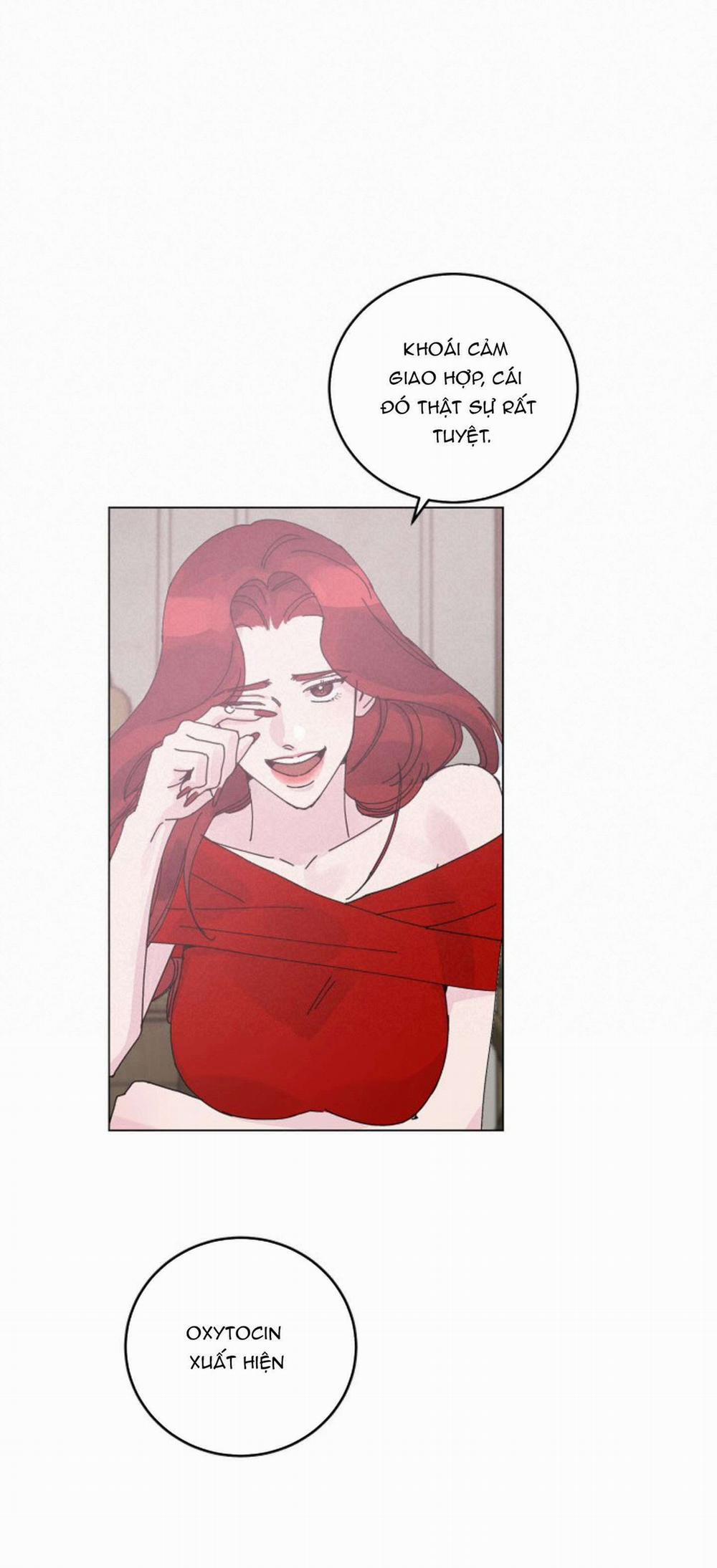 Cảm Nhận Từ Những Gì Tôi Biết 3.1 trang 13