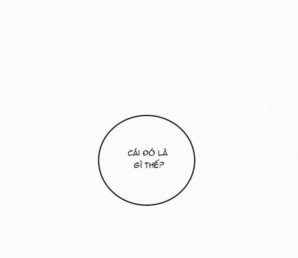 Cảm Nhận Từ Những Gì Tôi Biết 3.3 trang 5