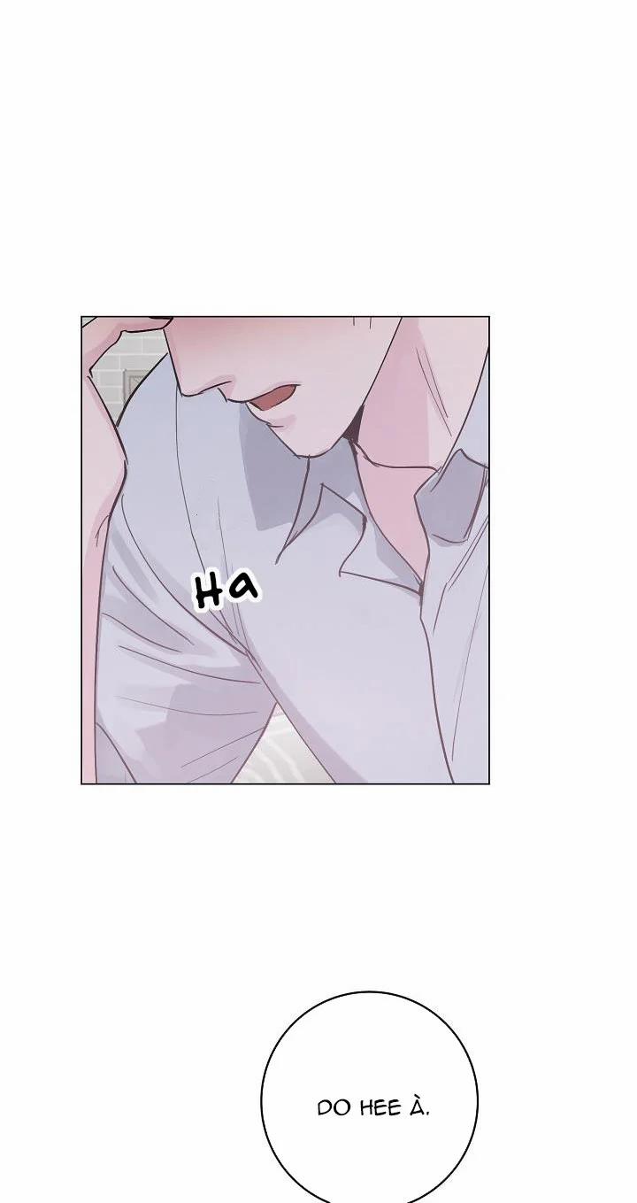 Cảm Nhận Từ Những Gì Tôi Biết 33 trang 46