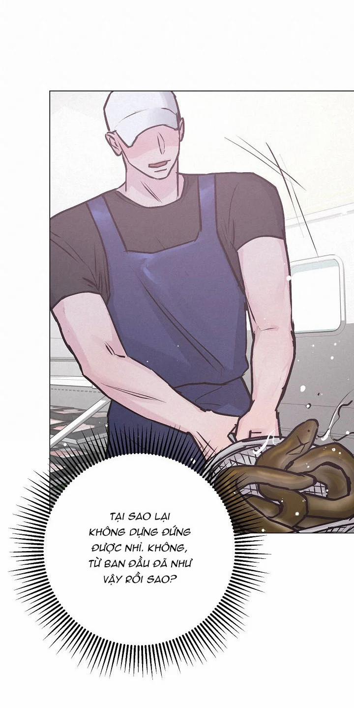 Cảm Nhận Từ Những Gì Tôi Biết 38.2 trang 19