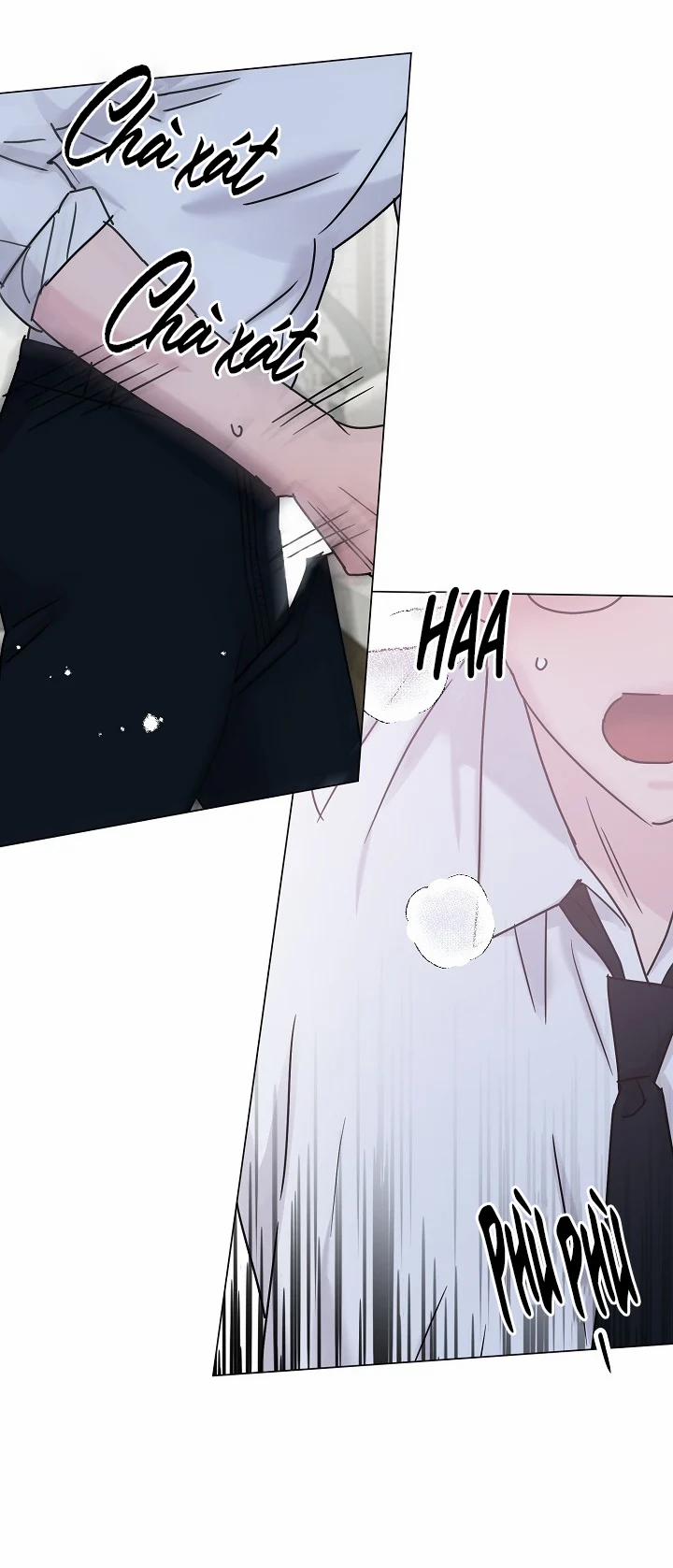 Cảm Nhận Từ Những Gì Tôi Biết 39.2 trang 13