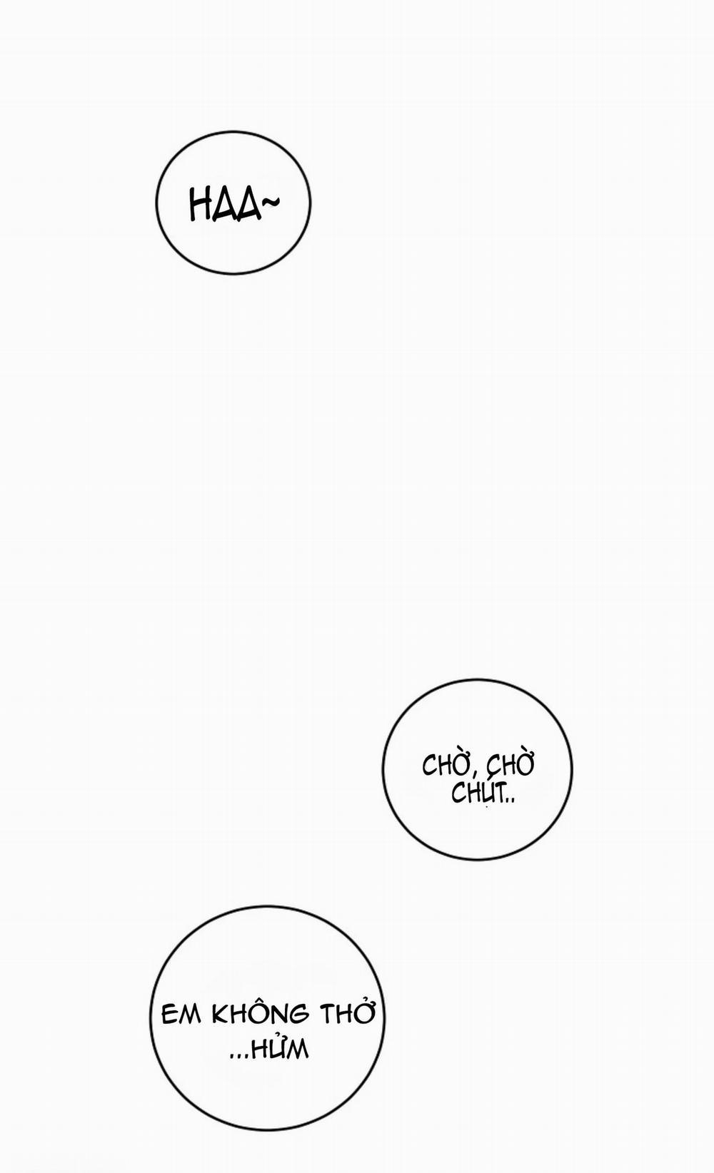 Cảm Nhận Từ Những Gì Tôi Biết 6.2 trang 0