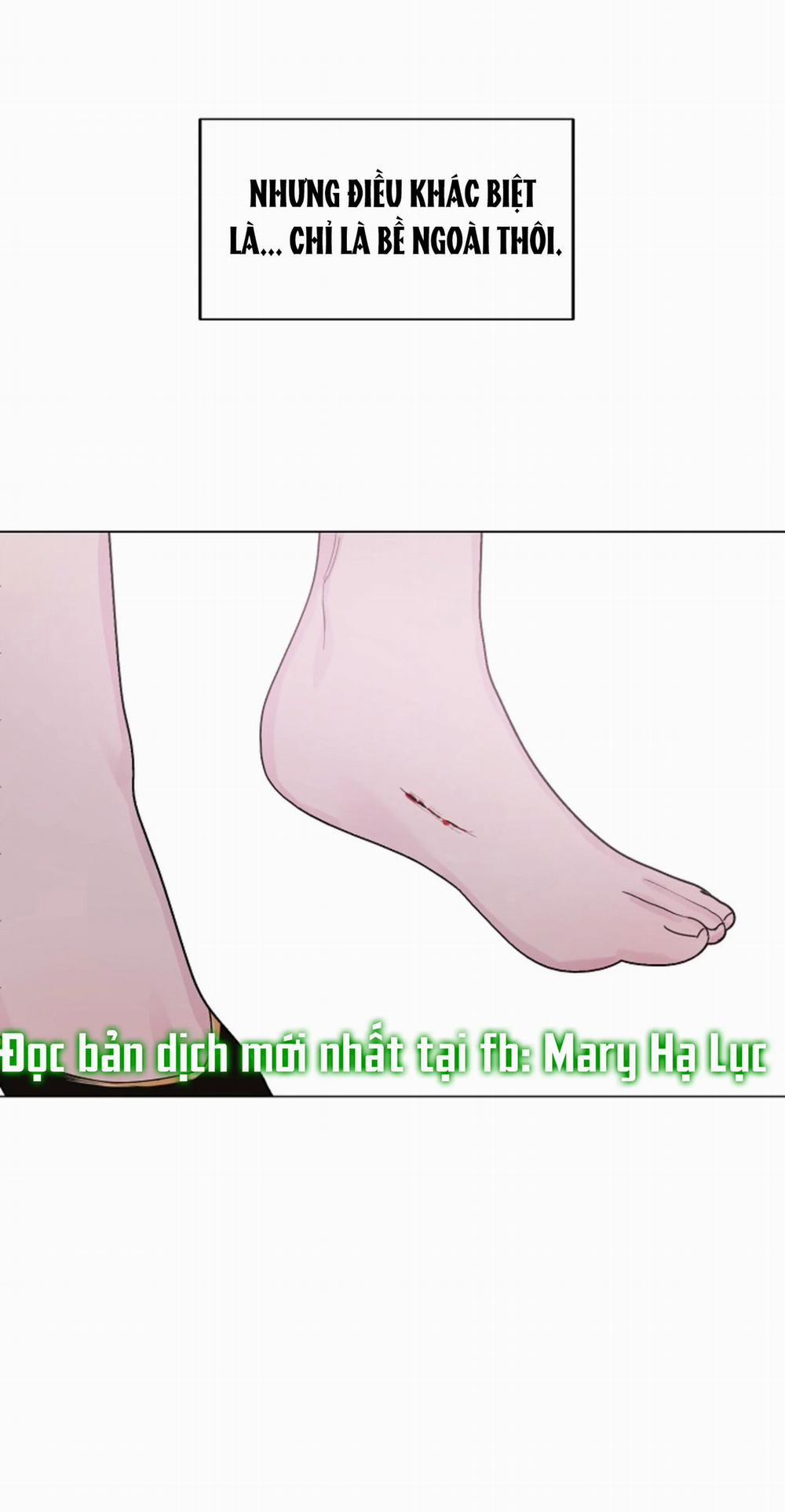 Cảm Nhận Từ Những Gì Tôi Biết 9.2 trang 13