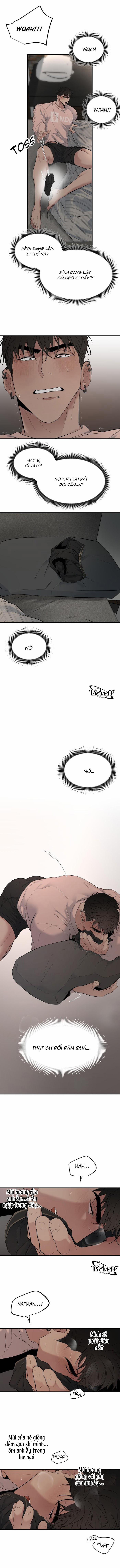 Cắm Trại 5.8 trang 11